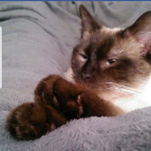 Meet your Posher, Crystal